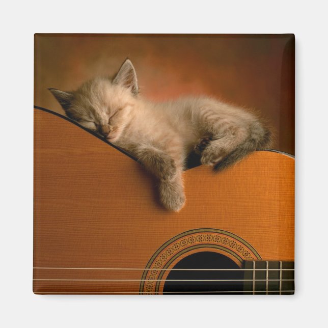 kitten-on-guitar magnet (Front)