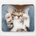 Kitten On My Lap Mouse Mat<br><div class="desc">Kitten on lap</div>