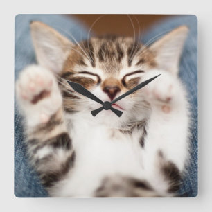 Kitten On My Lap Square Wall Clock