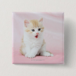 Kitten on Pink Background 15 Cm Square Badge