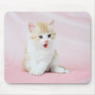 Kitten on Pink Background Mouse Mat