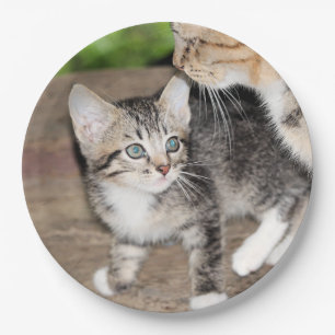 Kitten Paper Plate
