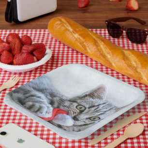 Kitten Paper Plate