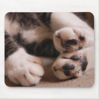 Kitten Paws Mouse Mat