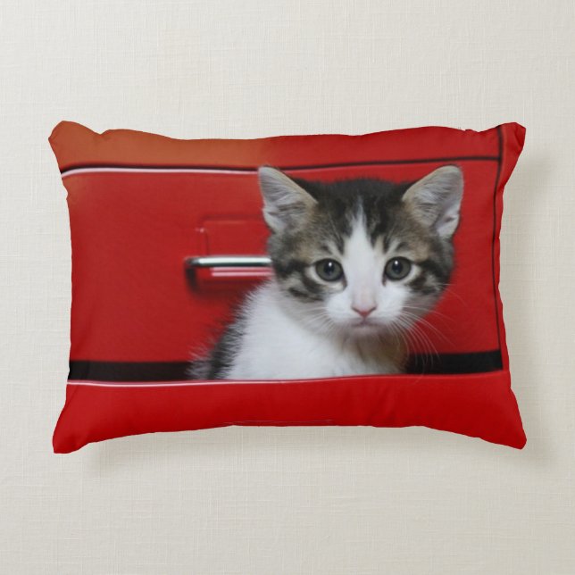 Kitten Peeking Decorative Cushion (Front)