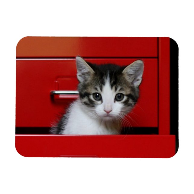 Kitten Peeking Magnet (Horizontal)