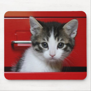 Kitten Peeking Mouse Mat