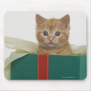 Kitten peeking out of gift box mouse mat