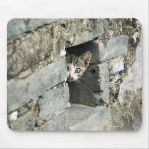 Kitten Peeking out of Wall, Yangshuo, Guangxi Mouse Mat