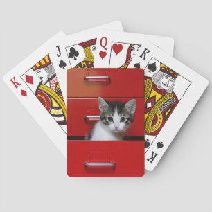 Kitten Peeking Playing Cards