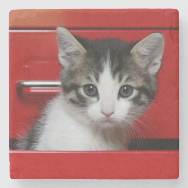 Kitten Peeking Stone Coaster (Front)