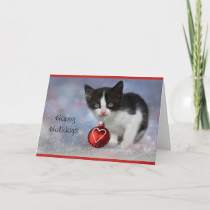 Kitten Personalised Holiday Card