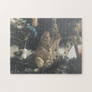 Kitten Photo Animal Pet Cat Jigsaw Puzzle