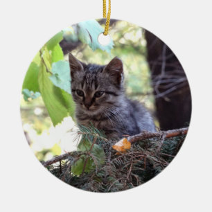 Kitten Photo Baby Cat Circle Ornament