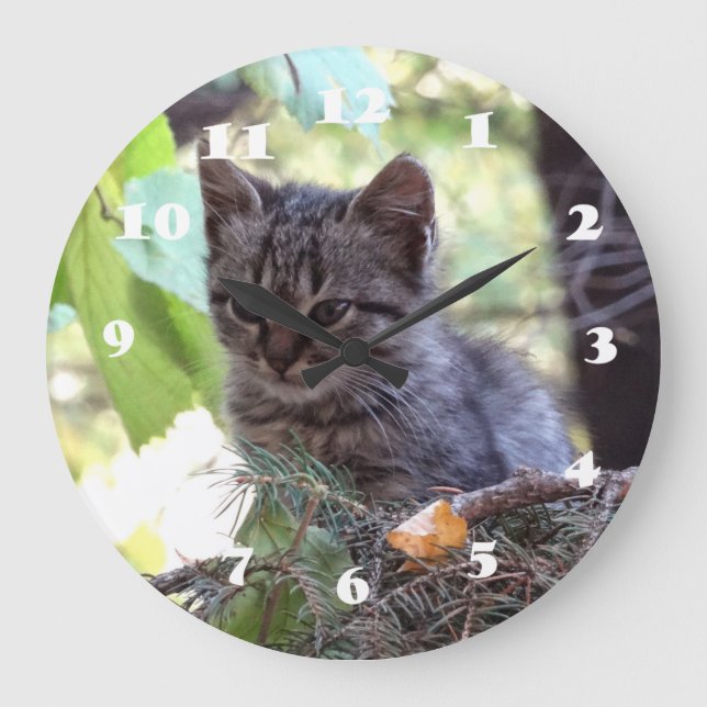 Kitten Photo Baby Cat  Wall Clock (Front)