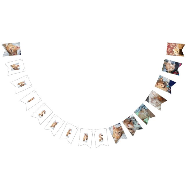 Kitten Photo  Bunting (All)