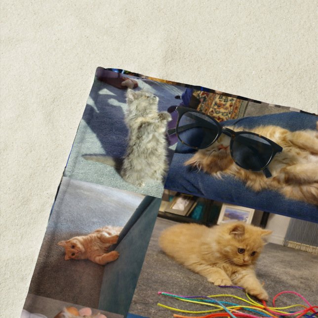 Kitten Photo Collage, Beach Towel (In Situ)