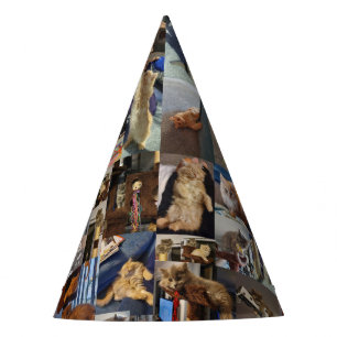 Kitten Photo Collage, Party Hats