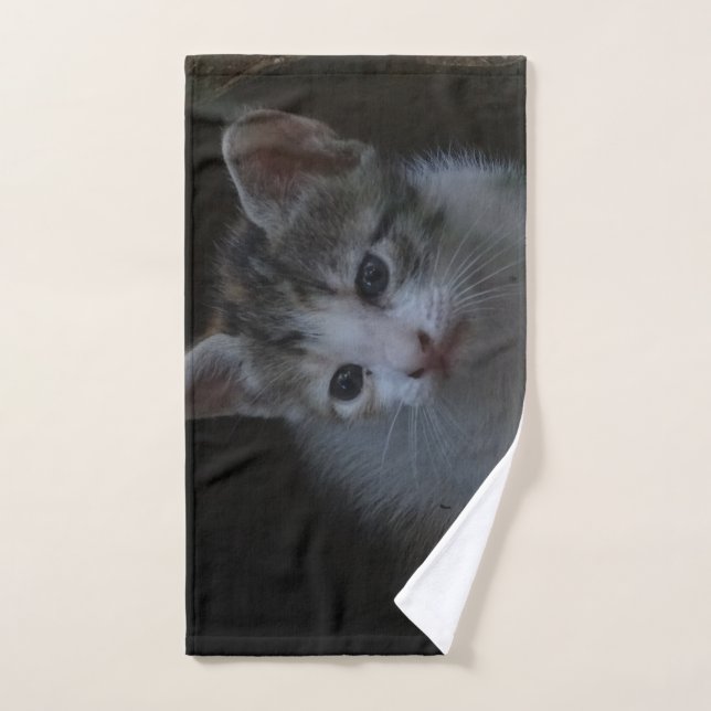 kitten photo hand towel (Hand Towel)