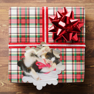 Kitten Photo Text , GiftTag, Snowflake, Customize, Tree Decoration Card