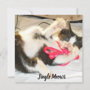 Kitten Photo Text Jingle Meows, Customize,  Holiday Card