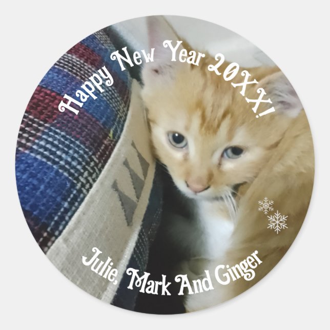 Kitten Photo Text Name,  Replace,  Classic Round Sticker (Front)