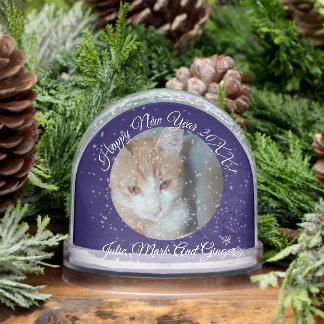 Kitten Photo Text Name,  Replace, Front And Back Snowglobe