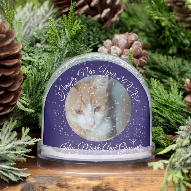 Kitten Photo Text Name,  Replace, Front And Back Snowglobe (Winter)