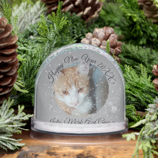 Kitten Photo Text Name,  Replace, Front And Back Snowglobe