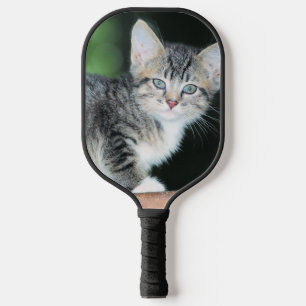 Kitten pickleball paddle