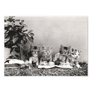Kitten Picnic Photo Print