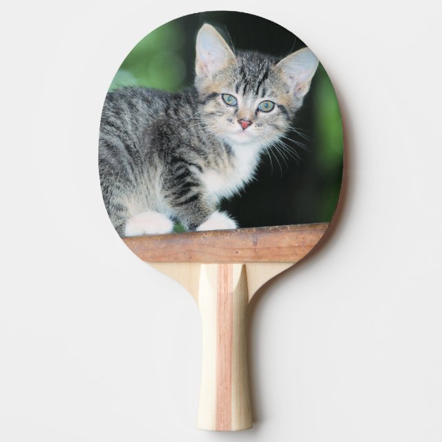 Kitten Ping Pong Paddle (Front)