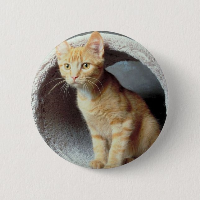Kitten Play Tunnel 6 Cm Round Badge (Front)