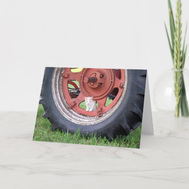 Kitten Playing in a Tractor Wheel Greeting Card (Front)