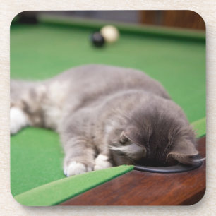 Kitten Playing Pool Coaster