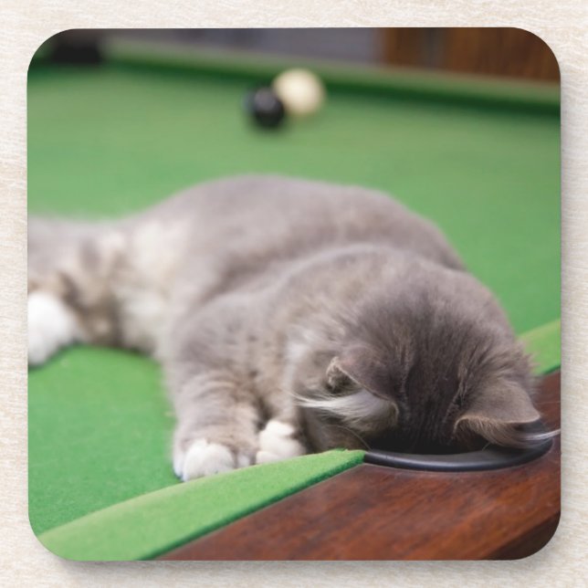 Kitten Playing Pool Coaster (Front)