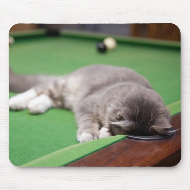 Kitten Playing Pool Mouse Mat (Front)
