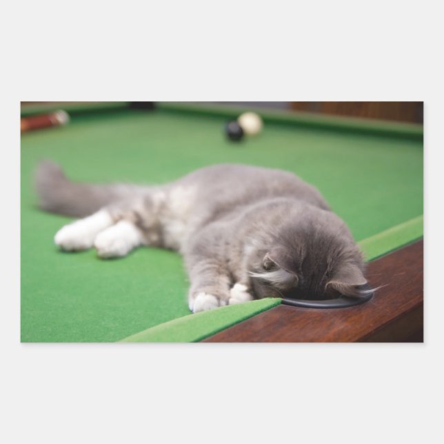 Kitten Playing Pool Rectangular Sticker (Front)