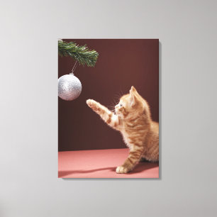 Kitten playing with Christmas bauble on tree Canvas Print