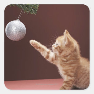 Kitten playing with Christmas bauble on tree Square Sticker