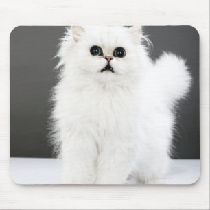 Kitten Portrait Mouse Mat