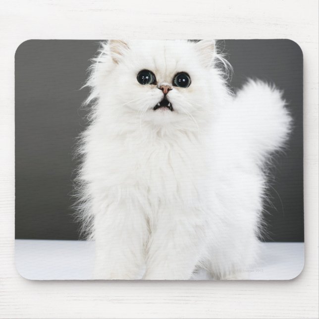 Kitten Portrait Mouse Mat (Front)