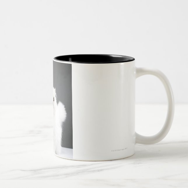 Kitten Portrait Two-Tone Coffee Mug (Right)