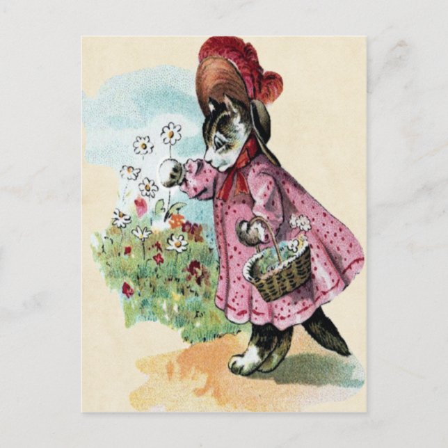 Kitten Postcard (Front)