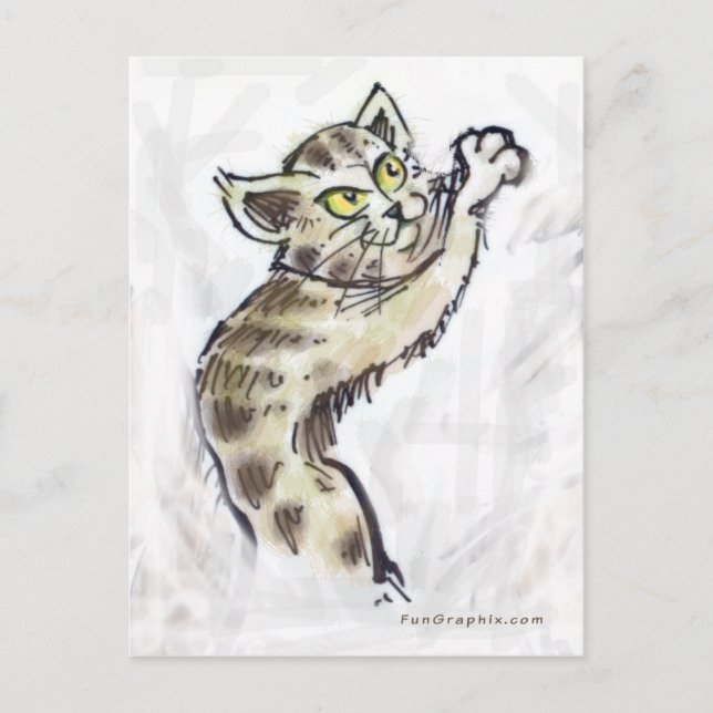 Kitten Postcard (Front)
