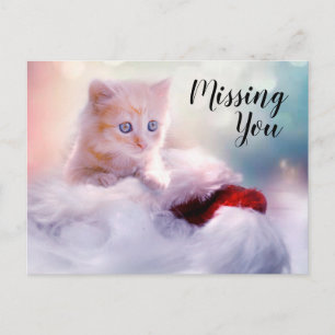 Kitten Postcard