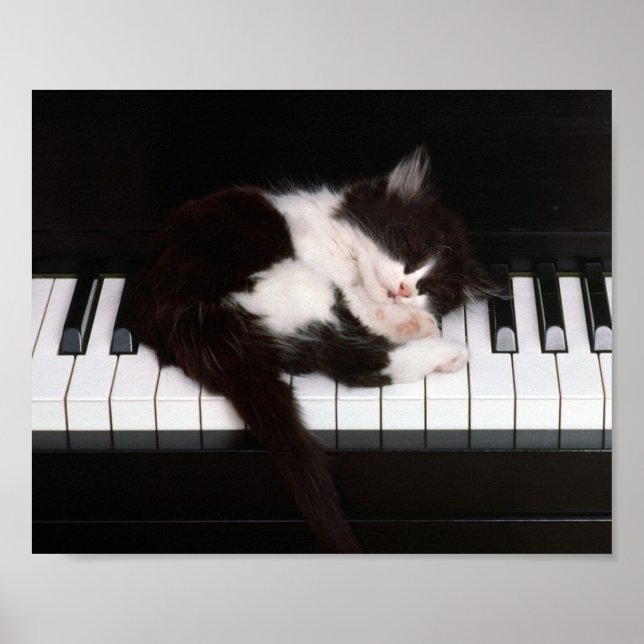 Kitten Poster (Front)