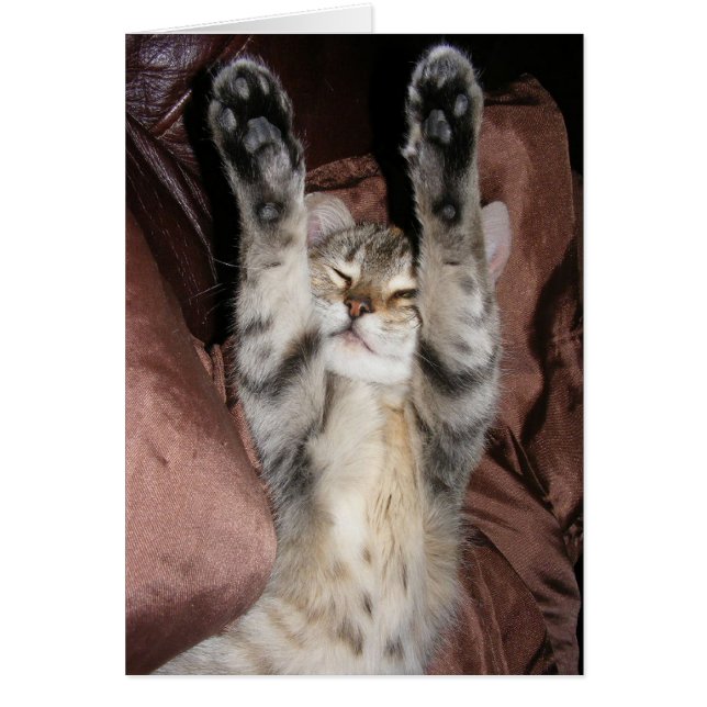 Kitten Power Card (Front)