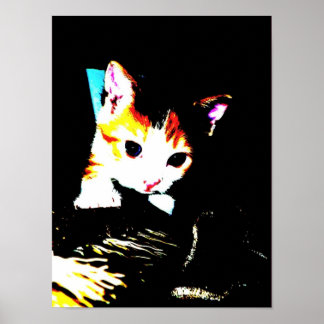 Kitten Print