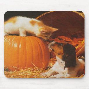 Kitten, Pumpkin and Puppy Mousepad